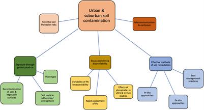 Legacy Lead in Urban Garden Soils: Communicating Risk and Limiting Exposure